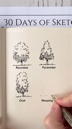 Daria Bogdanova on Instagram: "Quick tree sketches 🌳 Have fun practicing! 😊✍🏻 #sketchingtime #sketchingdaily #drawingtips #landscapearchitect #drawingtutorials"