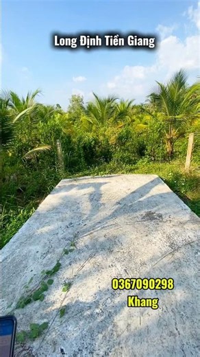 Vườn dừa ao cá view kênh