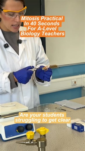 Biology Teacher | Miss Estruch on Instagram: "Tired of your root tip squash not showing mitosis?⁠ ⁠ It’s not you; this practical is tricky even for experienced teachers.⁠ ⁠ But with a few key tweaks, you can get perfect results every time.⁠ Here are my top tips for success.⁠ ⁠ Comment ROOT TIP for the full method and troubleshooting guide.⁠ ⁠ #aqabiology #alevelbiology #biologyteacher #requiredpracticals #mitosis #biologypractical #teachingscience #biologyresources"