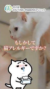 くしゃみ目の痒み🐈猫アレルギー５つの対処法を医師が解説【愛知県名古屋市おもて内科・呼吸器内科クリニック】