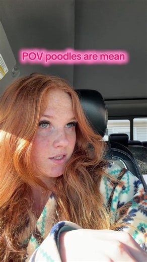 Understanding Poodle Temperament and Alternatives