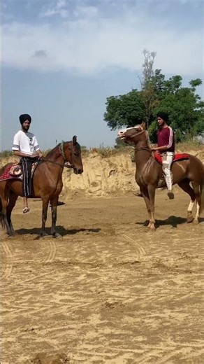 🔥 | 🔥 #shorts #viral #horse #trending #ytshorts #youtube #youtubeshorts