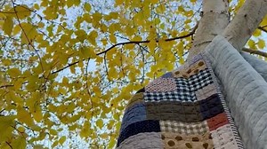 PeonyPedalQuilts - Etsy