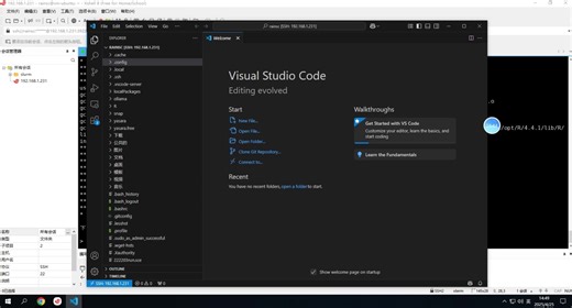 VSCode使用 R 语言远程分析