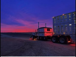 A day in the life of hauling cattle
