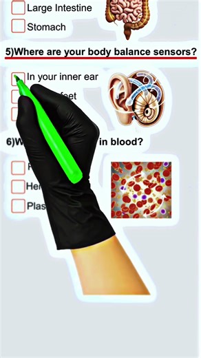 Only 1% Can Pass This Human Quiz! Human quiz in English