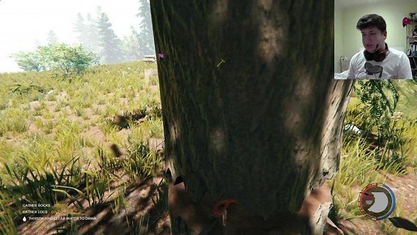 PannedCake - Twitch
