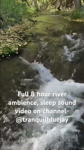 Peaceful Fall River Flow in Colorado 🍂 | Nature Sounds for Sleep & Relaxation