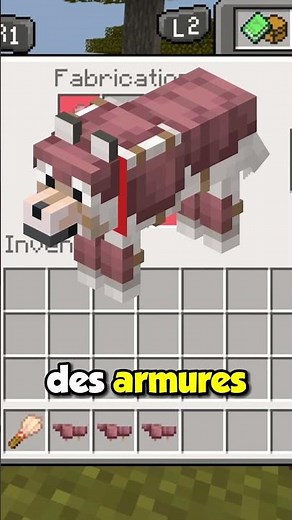 The TATOU on #minecraft in 1.21! 🦔