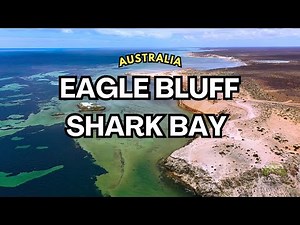 4K Drone View of Eagle Bluff, Shark Bay, Australia | The Nature Project