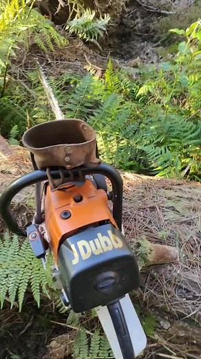 Ultimate Guide: Cutting Root Balls Tutorial for Loggers