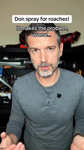 Effective Roach Control Tips for Apartment Living