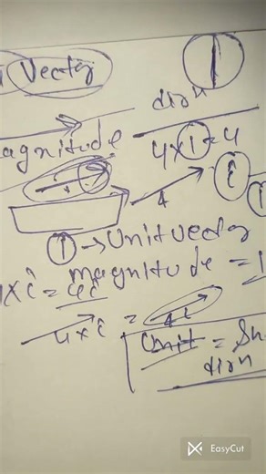 Class 11 Physics | Unit Vector Explained in Easy Way 🔥 | Vectors Chapter |