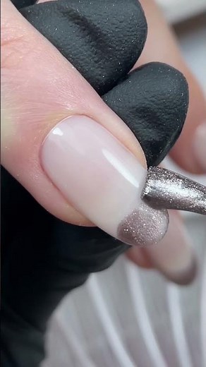 NEONAIL Tutorial: Cat Eye French Nail Design