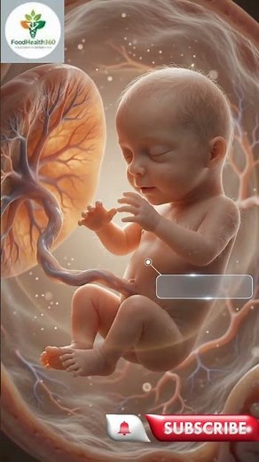 Unbelievable: 9 Months in 30 Seconds: Watch a Baby Grow Inside the Womb #shorts