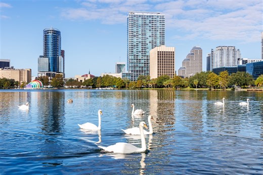 12 swans found dead at Florida park in possible bird flu outbreak, officials say