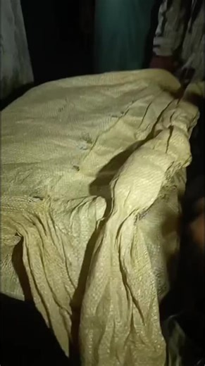 Mehar Rizwan Kite House: Quality Kites Delivered Nationwide