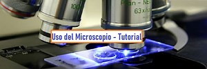 Cómo utilizar un microscopio escolar - Problemas y soluciones - Tutorial - Espacioteca
