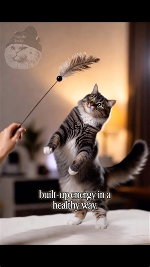 How to calm a stressed cat naturally