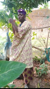 19K views · 399 reactions | *LECTURE 33B*. *SNUFFLES* : The term...