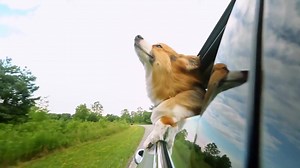 307K views · 456 reactions | Put some spring back in your step...and back in your tires. Our Spring Tire Sale continues until the end of April. | Les Schwab Tire Centers | Facebook