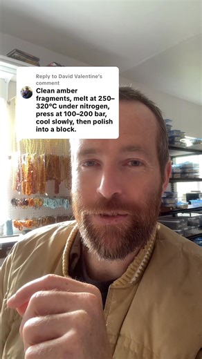 Valentine | Amber Bugs