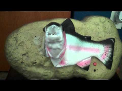 ***TRAVIS TROUT*** (Singing Fish)