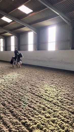 Guys don’t hate for the shit riding!! #horses #cobs #jumping #fyp #goviral