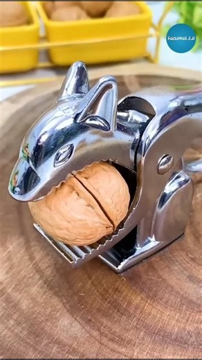 Learn The Best Tricks To Crack Walnuts #shorts #ytshorts