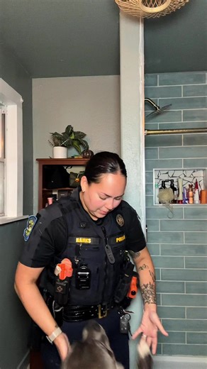 Recommended TV Shows for Family Night