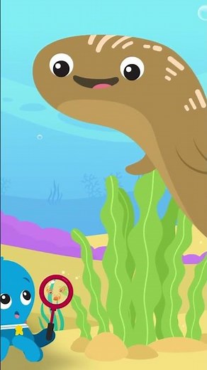 Big and Small with Underwater Friends | Ocean Explorers | Baby Einstein | #Shorts | Kids Cartoons