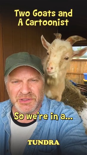 🚨 The Goats Have Moved! 🚨 Tundra’s podcast 2 Goats and a Cartoonist now has its own YouTube channel! 🐐 Same chaos. Same questionable stories. Brand-new home. 🎯 Subscribe to the new channel! (Link’s in the comments) 📺 Hit that link, subscribe, and be ready for the next episode… before the goats eat the set. #TundraComic #Comic #Tundra #WebComic #Funny #ComicStrip #Comedy #Humor #Fun #Meme #Memes #Art #Silly #ChadCarpenter #Nature #Drawing #2GoatsAndACartoonist #Podcast #Youtube | Tundra Comi