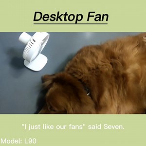 Portable 6' USB Electric Desk Fan Multi-Functional Rechargeable Table Cooling Fan Four-Speed Car RV Outdoor Household Desk Box