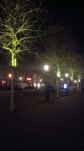 s-Gravenzande #shortvideo #travel #eurotrip #europa #dutch #holland #niderland #europe #shorts