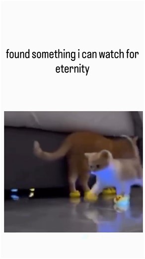 curvico_explained on Instagram: "- The post features a short video of two cats—an orange tabby and a gray one—awkwardly walking in yellow duck-shaped slippers that glow blue with each step, amassing over 50,000 likes and 1.2 million views for its playful depiction of feline clumsiness. - Viewer replies largely dismiss the clip as AI-generated “slop,” noting that real cats rarely tolerate footwear without resistance, which aligns with viral trends of hyper-realistic AI pet videos circulating sinc