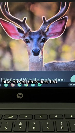 How to Draw a Deer Step-by-Step Guide