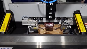 Fanuc Piece Picking with Auto Bagger