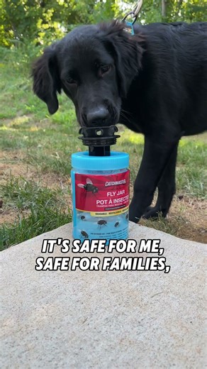 Our products are designed with our furry friends in mind. 🐶