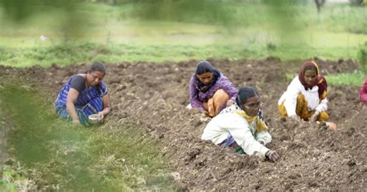 Eco India: Marathwada’s women rely on ingenious cropping techniques to navigate climate uncertainty