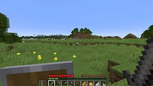 What Are the Minecraft Rules?