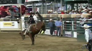 43K views · 1K reactions | It was a battle all week, but the Australian cowboy rose to the occasion.  Damian Brennan sealed the deal with an 88.5-point ride in the finals to win the Reno Rodeo saddle bronc title! 磊 | CowboyChannel | Facebook