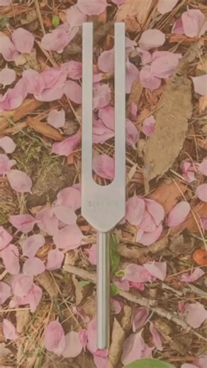 Shop to save and celebrate our founder with Eileen’s birthday sale! ✨ ✨ 15% off all physical products ✨ 35% off all digital products 🎉 Plus ~ every order automatically enters you for a chance to win your purchase back! Three lucky customers will be selected to have their orders gifted back as our way of saying thank you for being part of this electric health journey. Specials end Friday morning at 8am EST. 🎈 | Biofield Tuning