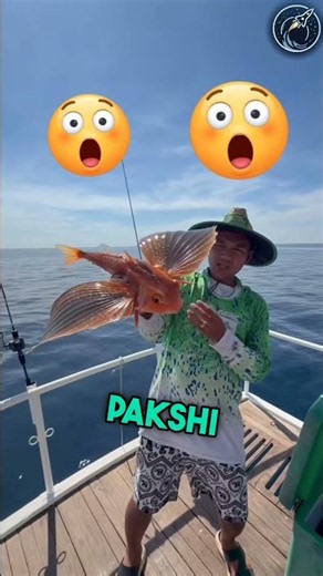 This Fisherman Found a Unique Fish | But his Friend Did Not Like it 😱🫡 #respect #shorts #ytshorts