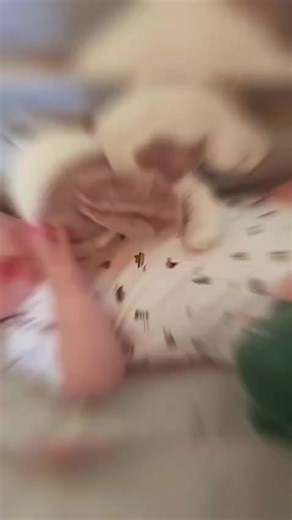 #lovemywifeandson @CHANÉ JC LIAM-NAYSON