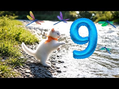 Learn Number 9 with Cute Kitty 🐱 | Fun Counting for Toddlers & Preschoolers | Joyful⭐ Kids⭐ TV