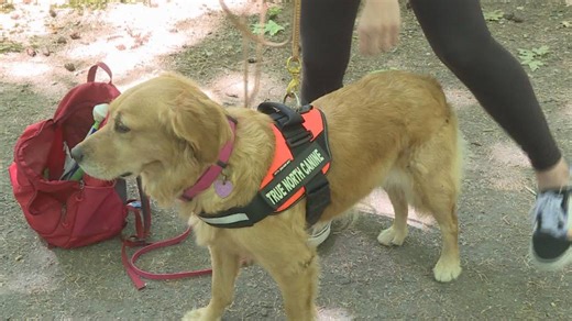 Blind Paralympian and guide dog locate missing senior
