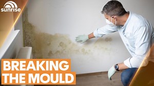 New advice on spotting, treating and preventing mould in homes