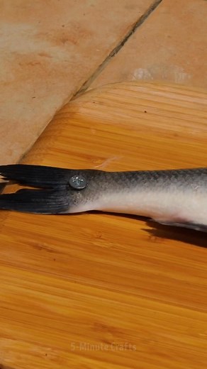 Easy Tricks to Cook Any Fish Like a Chef | 5-Minute MAGIC