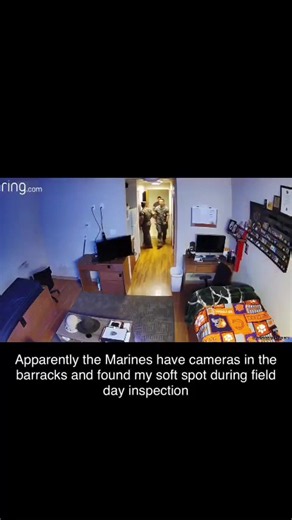 These Marines are getting good. Leave a campaign cover out and I'll forget all about checking to see if you cleaned your room! #marines #miltok #drillinstructor