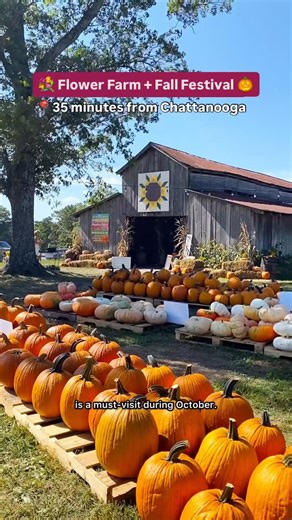 Hope • Chattanooga Hiking Tour Guide | One of the most beautiful farms near Chattanooga 😍🍂🍁🎃 Read below before visiting ⬇️ 📍Flat Top Mountain Farm (@flattop_mtn_farm) is a... | Instagram